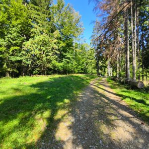 Ila na vrcholu Nad Jízdarnou (9.9.2026 12:21)