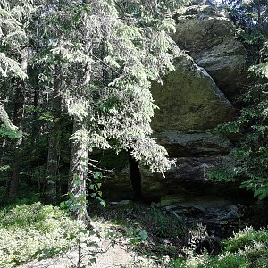 Šumava