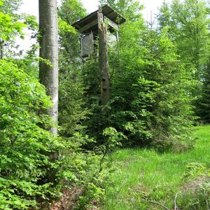 ZdenkaV na vrcholu Hahnenriegel (29.5.2024 16:29)