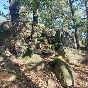 Cyklista 73 na vrcholu Čerťák (12.10.2022 12:14)