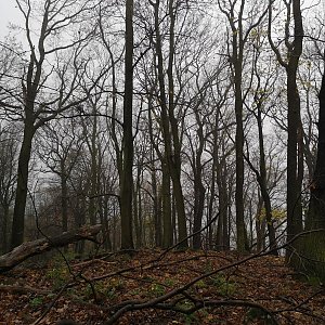 vyxinka na vrcholu Čertova jizba (17.11.2022 9:29)