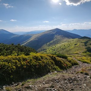 Jadrda na vrcholu Veľká Chochuľa (11.8.2023 15:30)