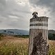 ZdenkaV na vrcholu Komora - J vrchol (16.7.2021 10:38)