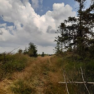 ZdenkaV na vrcholu Solná hora - SV vrchol (16.7.2021 13:14)