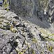 Ondra Horáček on peak Rovienková veža (23.7.2021)