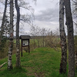 Weilin66 na vrcholu Špičák (29.4.2023 12:53)