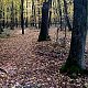 Jiřina na vrcholu Kamenný vrch (26.10.2021 10:00)