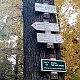 Jiřina na vrcholu Kamenný vrch (26.10.2021 10:00)