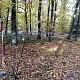 Jiřina na vrcholu Kamenný vrch (26.10.2021 10:00)