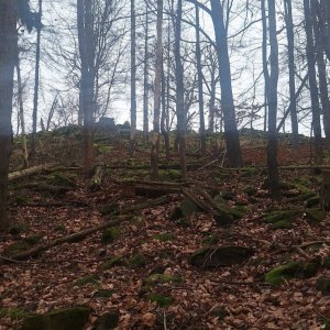 Ilona Stočesová na vrcholu Břidličný vrch (21.12.2024 13:25)