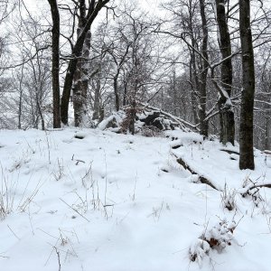Martin Matějka na vrcholu Břidličný vrch (31.12.2025 14:22)