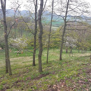 Cyklista 73 na vrcholu Třešňovka (29.4.2022 18:12)