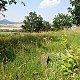 Nojby na vrcholu Třešňovka