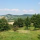 Nojby na vrcholu Třešňovka