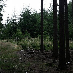 Bouřka na vrcholu Stráž (25.7.2021 13:43)