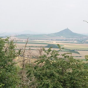 Nojby on the summit of Kvítel (22.7.2021 16:44)