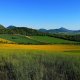 Tor na vrcholu Vršetín