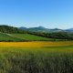 Tor na vrcholu Vršetín