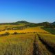 Tor na vrcholu Vršetín
