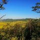 Tor na vrcholu Vršetín