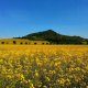 Tor na vrcholu Vršetín
