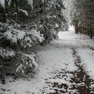 Švihovská vrchovina