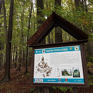 Hostýnsko-vsetínská hornatina