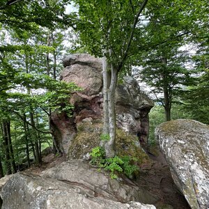 akam na vrcholu Zámčisko / Klenovské skály (23.5.2024 11:53)