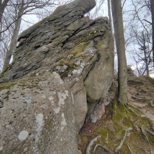 filipka na vrcholu Zámčisko / Klenovské skály (5.4.2025 18:29)