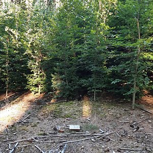 Svitavská pahorkatina