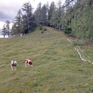 Bohumír Michal na vrcholu Aflenzer Bürgeralm (4.7.2026 20:08)