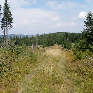 Vladimír Grančay na vrcholu Holý vrch (31.8.2013 12:20)