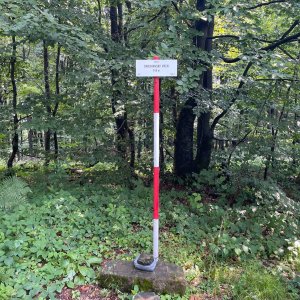 René Arendacký na vrcholu Smilniansky vrch (5.8.2023 11:46)