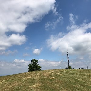 Terez Valčíková na vrcholu Velká Javořina (23.7.2019 12:58)
