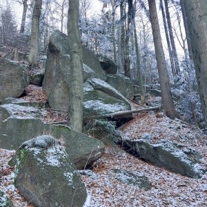 Mykas on the summit of Oldřichovský Špičák SV (23.11.2025 9:41)