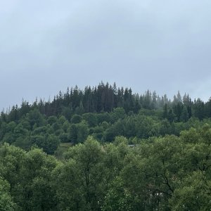 René Arendacký na vrcholu Poprovka / Wajdów Groń (6.8.2023 11:46)