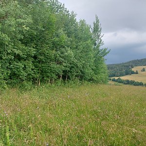 Cyklista 73 on the summit of Halda (6.7.2022 7:11)