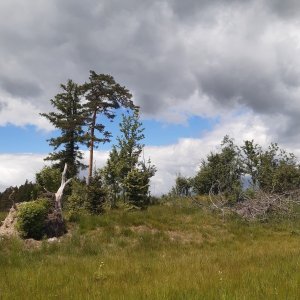 ZdenkaV on the summit of U Rozhledny (29.5.2025 12:54)