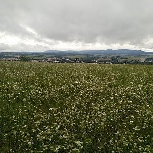 Horalka Anička on the summit of Kozinec (8.8.2021)