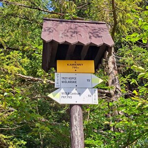 Horalka Anička on the summit of Kamienny (25.7.2024 9:52)