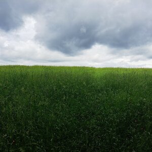 Horalka Anička na vrcholu Beskidek (2.6.2024 10:50)